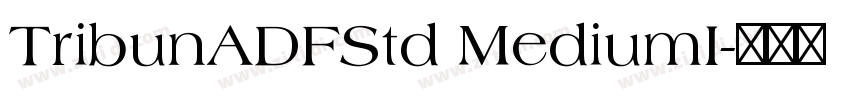 TribunADFStd MediumI字体转换